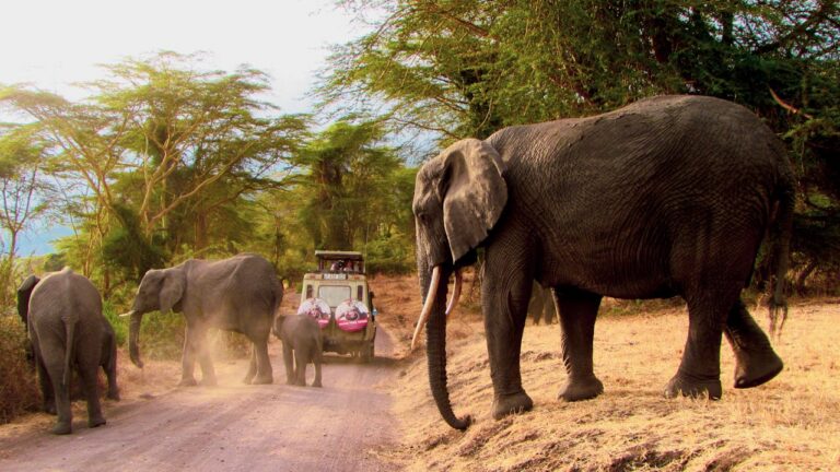 Arusha NP