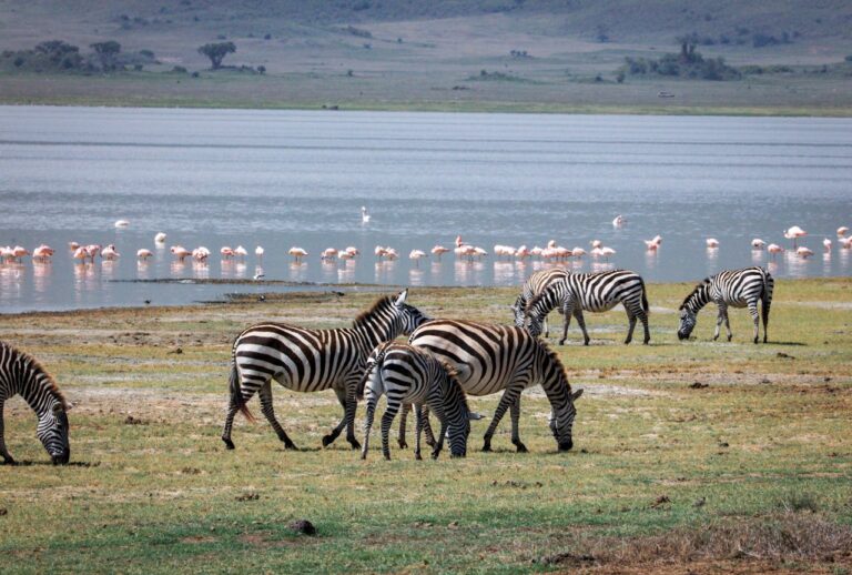 Manyara