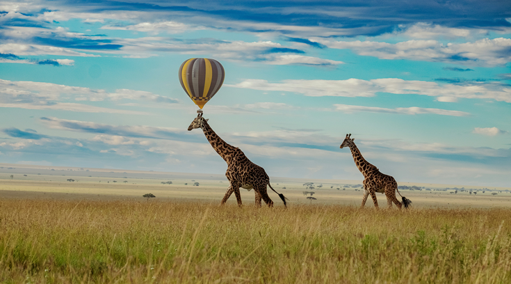 Tarangire-(4)